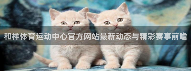一竞技官网下载平台注册要钱吗是真的吗：和祥体育运动中