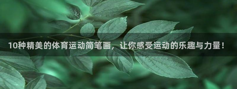 一竞技官方正版app集团：10种精美的体育运动简笔画