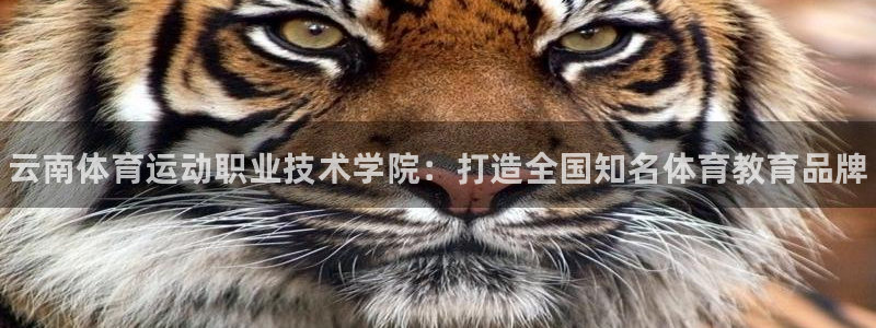 一竞技官方正版app集团简介：云南体育运动职业技术学