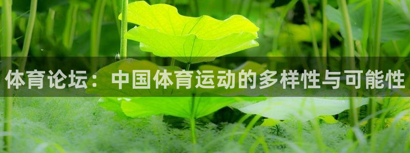 一竞技官方正版app娱乐首页官网下载：体育论坛：中国