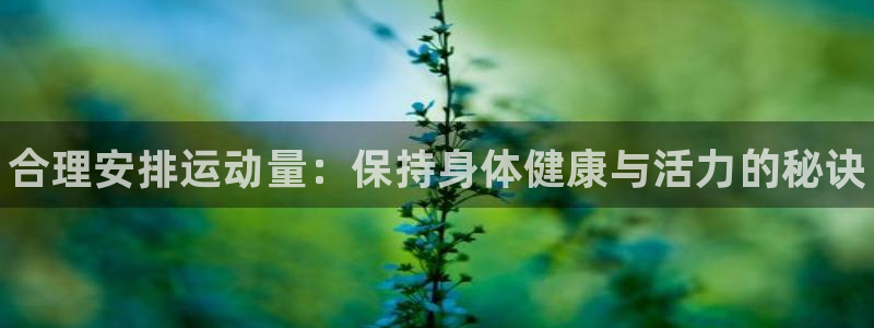 一竞技官方正版app集团官网首页网址：合理安排运动量
