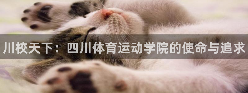 一竞技官网下载招商电话地址：川校天下：四川体育运动学