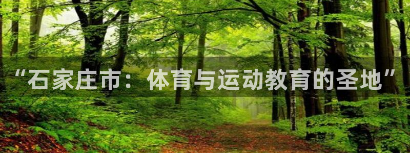一竞技官方正版app集团官网首页：“石家庄市：体育与