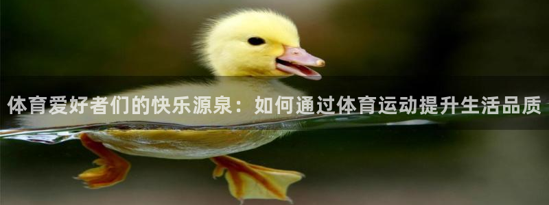 一竞技官方正版app新能源：体育爱好者们的快乐源泉：