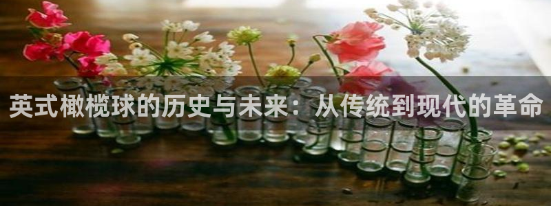 一竞技官方集团官网：英式橄榄球的历史与未来：从传统到