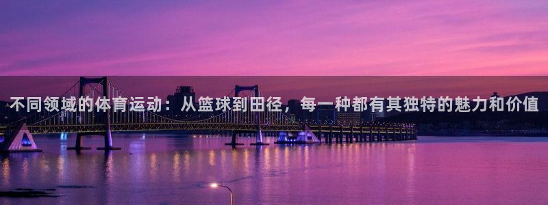 一竞技官方正版app五金厂：不同领域的体育运动：从篮
