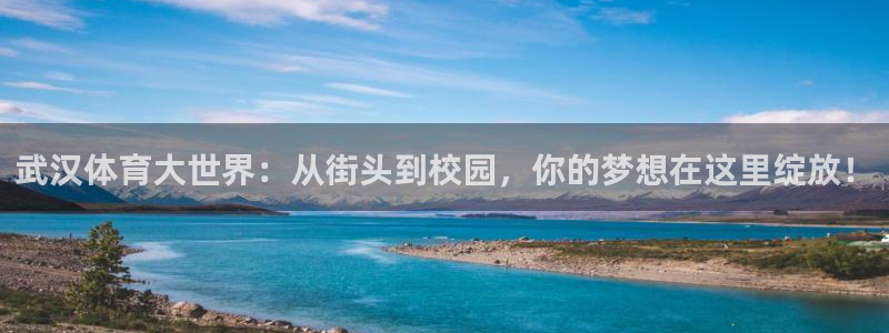 一竞技官网下载平台假的吗是真的吗吗：武汉体育大世界：