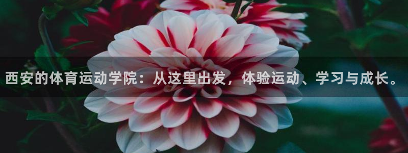 一竞技官方正版app新能源：西安的体育运动学院：从这