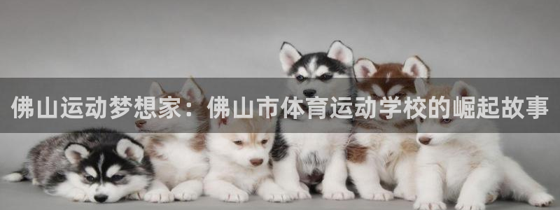 一竞技官网下载软件：佛山运动梦想家：佛山市体育运动学