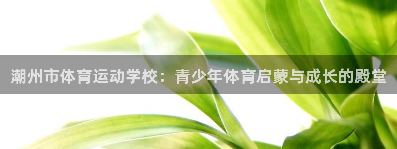 一竞技官网下载联系电话：潮州市体育运动学校：青少年体