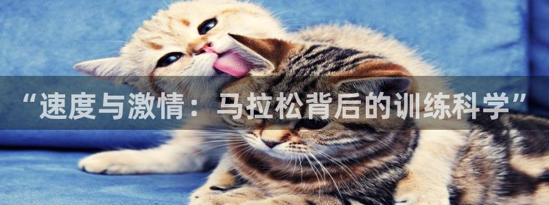 一竞技官方正版app娱乐：“速度与激情：马拉松背后的