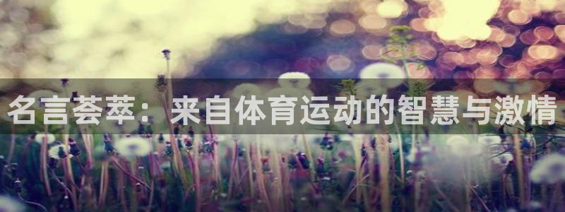 一竞技官方正版app娱乐平台：名言荟萃：来自体育运动