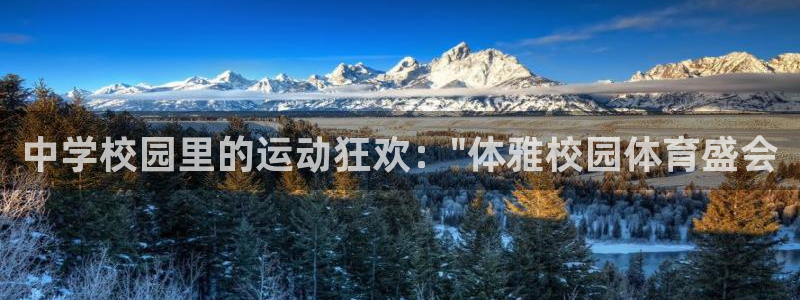 一竞技官方正版app娱乐代理怎么样：中学校园里的运动