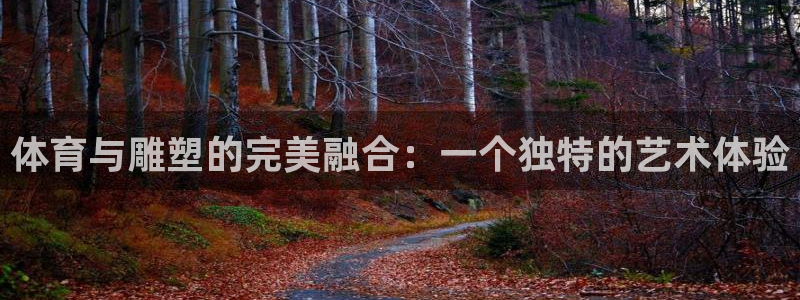 一竞技官方正版app官网：体育与雕塑的完美融合：一个独特的艺
