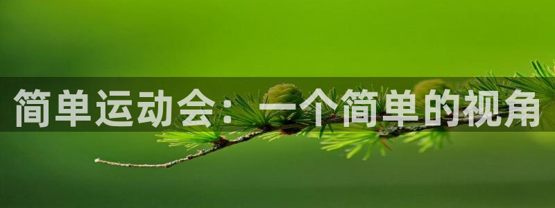 一竞技官网下载平台注册要钱吗：简单运动会：一个简单的