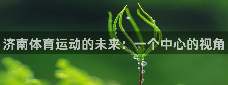 注册一竞技官方正版app：济南体育运动的未来：一个中心的视角