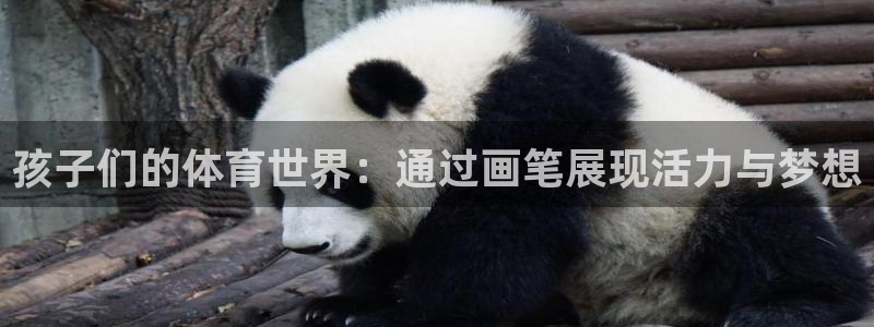 一竞技官方正版app娱乐首页官网下载：孩子们的体育世界：通过