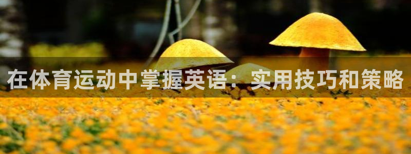 一竞技官网下载平台是正规平台吗