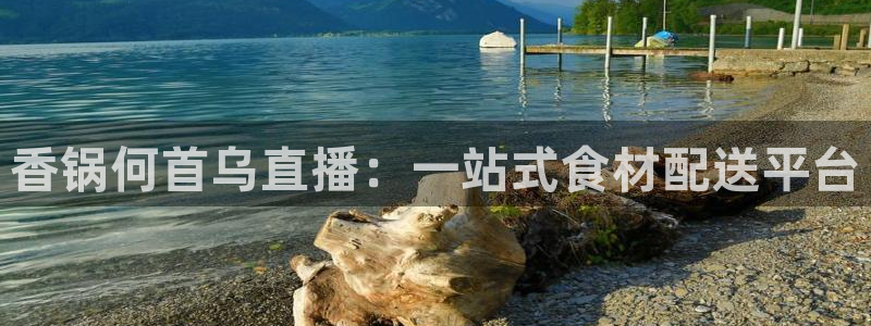 雨燕直播360高清直播