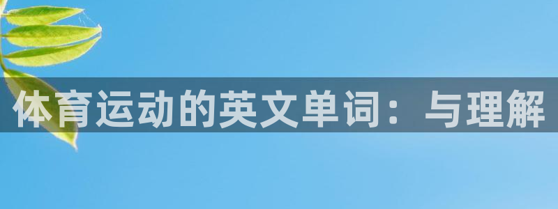 一竞技网页版入口：体育运动的英文单词
