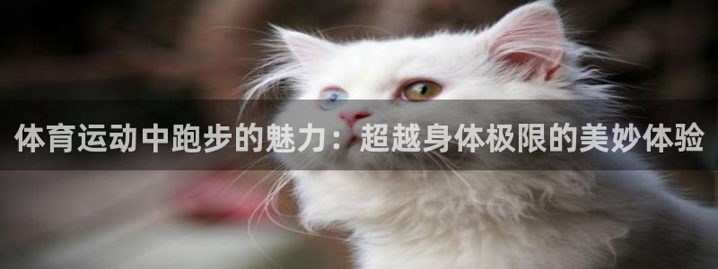 一竞技登录入口：体育运动中跑步的魅力