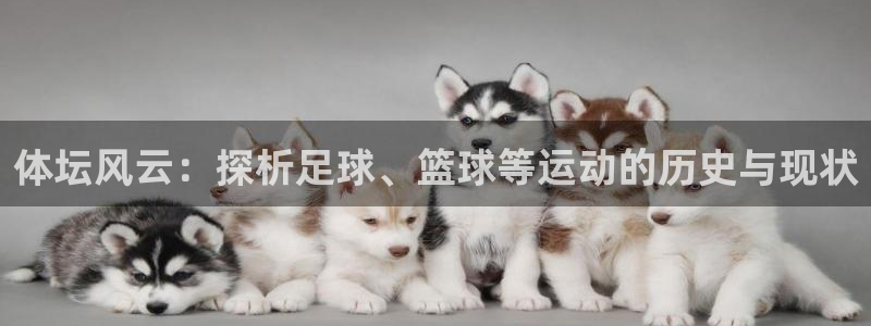 一竞技网址