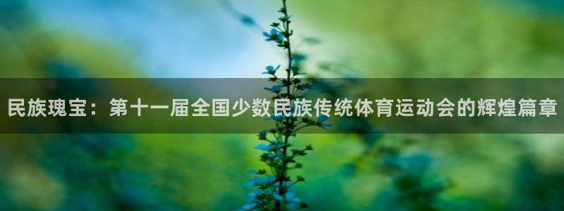一竞技DOTA2选手Saksa：民族