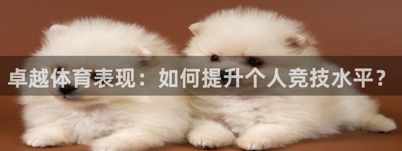 一竞技官网：卓越体育表现：如何提升个