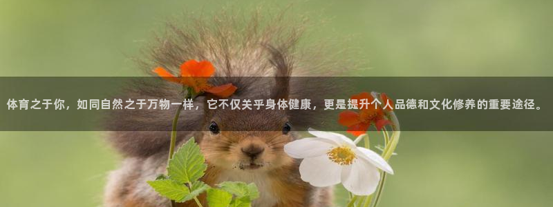  一竞技官方网站入口：体育之于你，如同自然之于万物一样，它不仅
