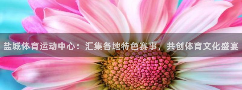 一竞技客服：盐城体育运动中心：汇集各