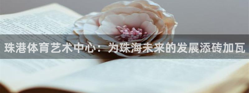  一竞技平台可以借钱吗：珠港体育艺术中心：为珠海未来的发展添砖