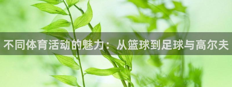 一竞技入口官网首页：不同体育活动的魅力：从篮球到足球与高尔夫