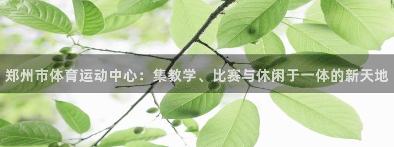 一竞技官网：郑州市体育运动中心：集教