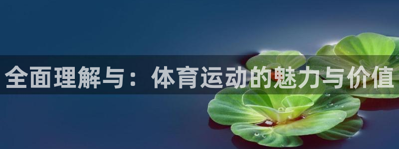  一竞技平台是正规平台吗安全吗：全面理解与：体育运动的魅力与价