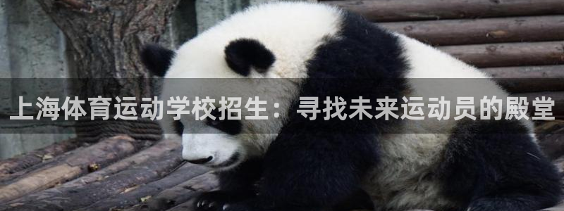 一竞技官网登录入口：上海体育运动学校招生：寻找未来运动员的殿