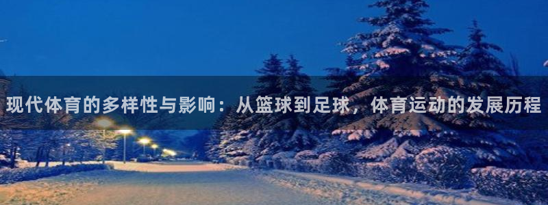 一竞技官网导航,一竞技测速站：现代体育的多样性与影响：从篮球