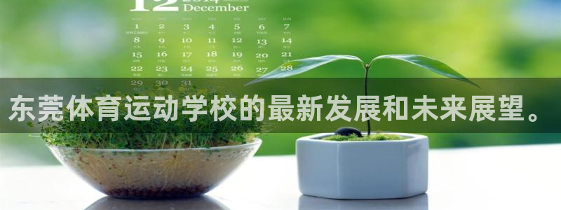 一竞技测速网站填什么：东莞体育运动学校的最新发展和未来展望。