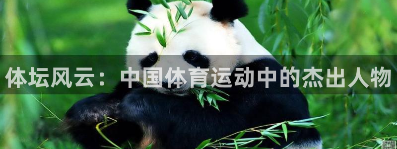一竞技DOTA2选手Saksa：体坛