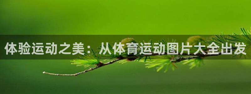 一竞技官网测速