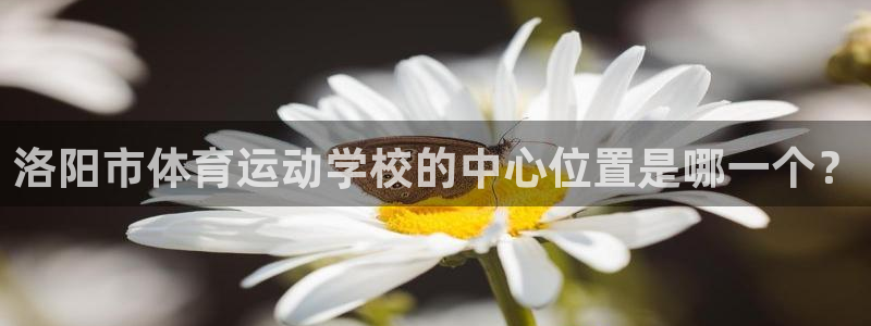 一竞技平台是杂牌吗