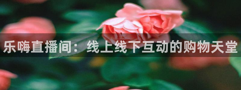 360足球在线直播软件：乐嗨直播间：线上线下互动的购物天堂