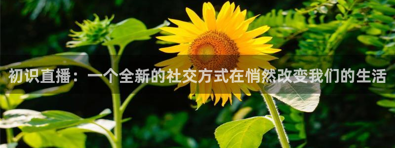 雨燕360体育免费直播小仙儿：初识直播：一个全新的社交方式在悄然改变我们的生活
